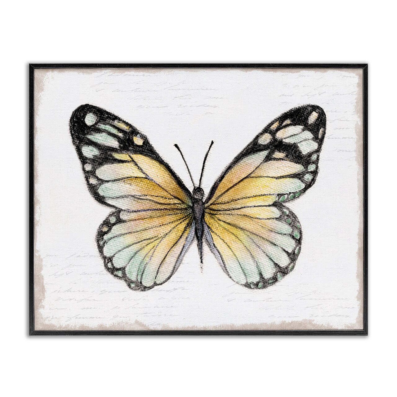 Stupell Industries Country Butterfly on White Framed Giclee Wall Art Design by Janet Tava